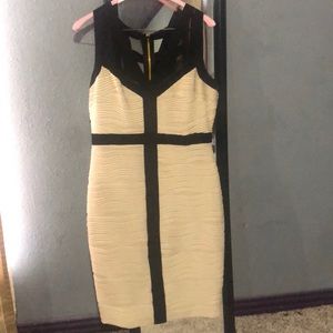 Beautiful Bodycon dress